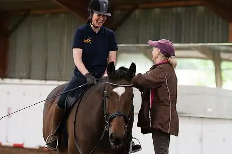 Arrow Equestrian