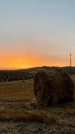 Photo de Parco Aldo Moro via Benassi Renato Ponticella  San Lazzaro di Savena (BO)