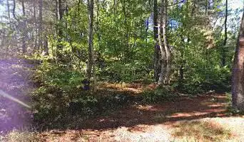 Photo de Forêt