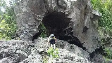 Arche Naturelle