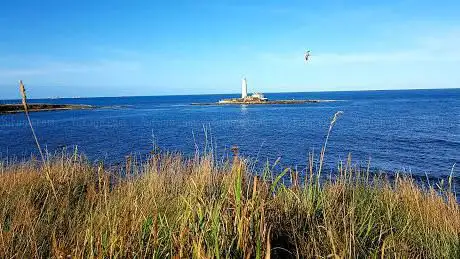 St Maryâ??s Island Nature Reserve