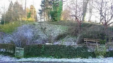 Photo de Woodland Garden