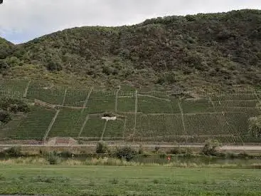 mosel-kanutours.de