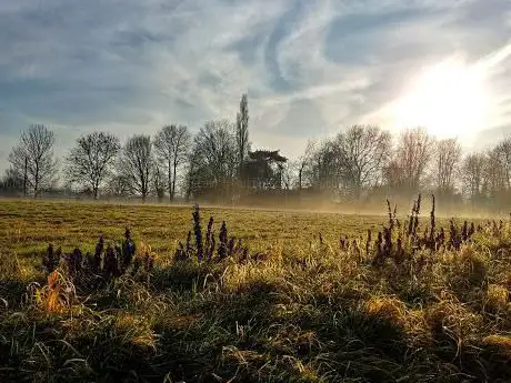 Photo de Thorington Hall