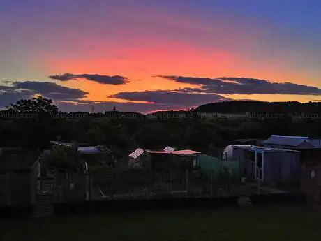 Norfolk Park Allotments