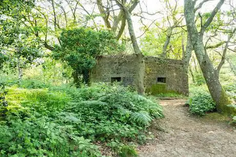Bunker