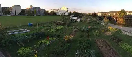 Gemeinschaftsgarten Mattenbach