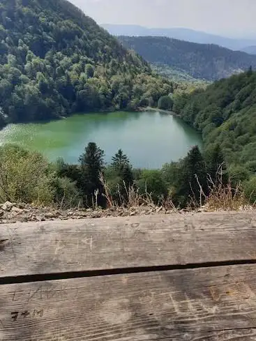 Punto de vista