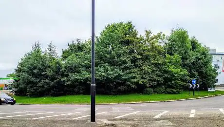 Photo de Betstyle Circus Roundabout