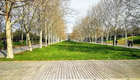 Photo de Paseo de los Sentidos