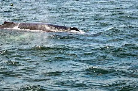 Photo de Cap'n Fish's Cruises
