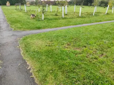 Photo de The Oval Park