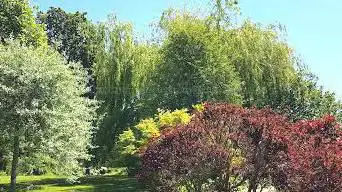 Photo de Le jardin de Marigny