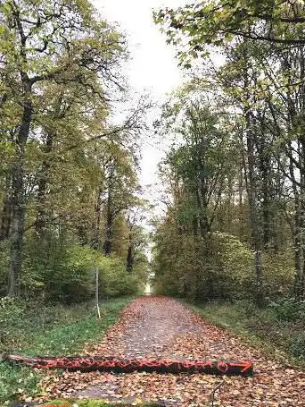 Les Quatre Chemins