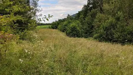 Photo de Wildwechsel Möösli