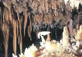 Photo de Grotte du Grand Roc