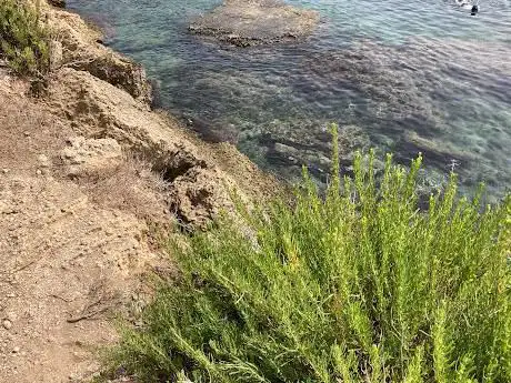 Photo de Spiaggia della Pillirina