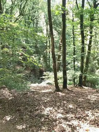 Wëlkeschkummer