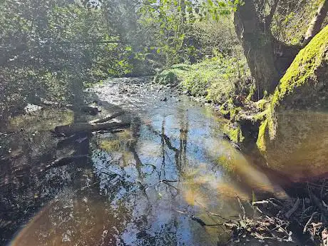 Photo de Cunningham Clough Local Nature Reserve