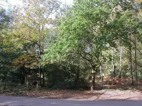 Photo de Blackheath Common