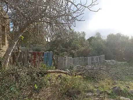 Photo de Sughereta Villasmundo