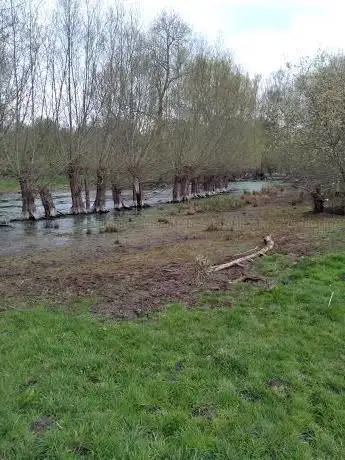 Photo de Singlers Marsh