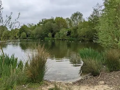 Photo de Meldham Washlands