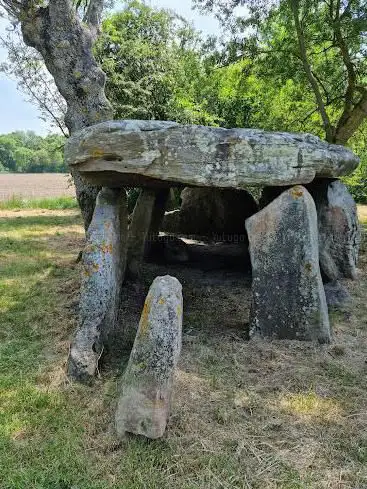 Photo de Dolmen De La Pierre Cesée