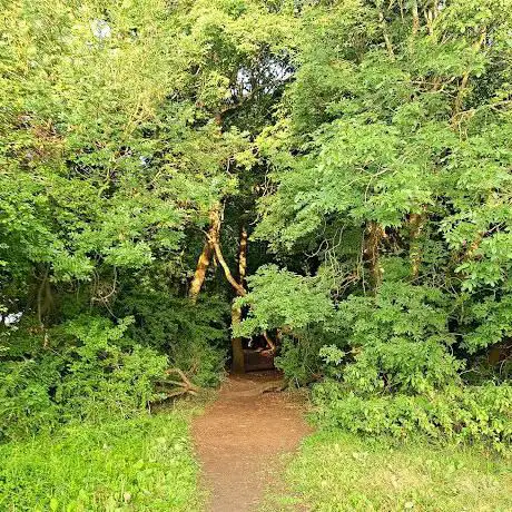 Benhall Woods and Park