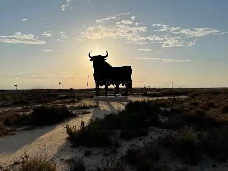 Photo de Toro de Osborne Santa Pola