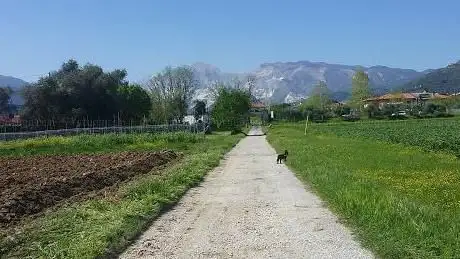 Photo de Parco Villa Ceci Marina di Carrara MS