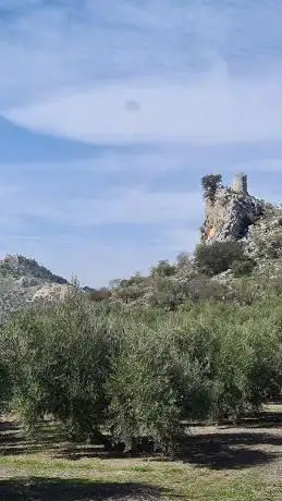 Photo de Torre Atalaya de La Solana
