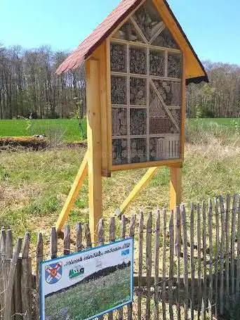 Photo de Keltenhaus