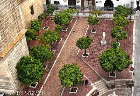 Photo de Museo Municipal Rafael Leria