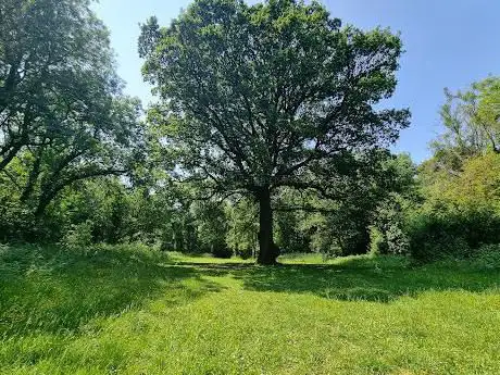 Tongwynlais Picnic Area