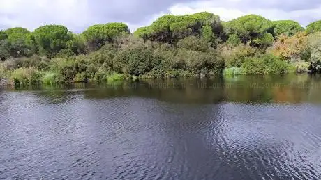 Charco del Acebrón
