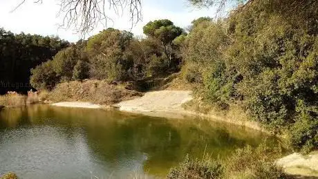 Photo de Panta de Vall-llossera
