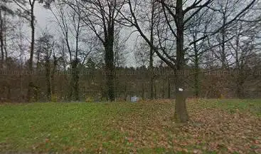 Inselchen