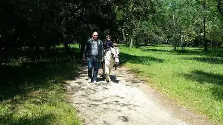 Photo de Piazza con Fontana