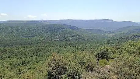 Photo de Camins de Prades