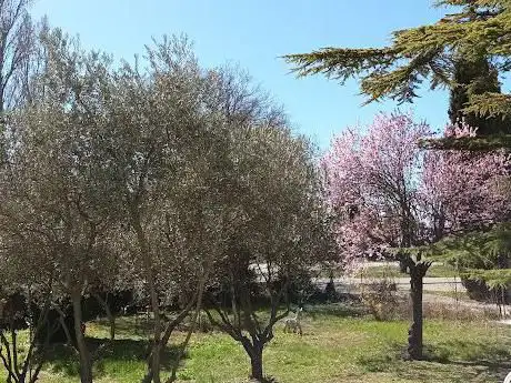 Photo de Fermiers En Herbe