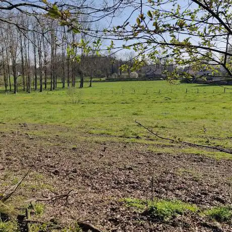 Photo de Start wandelingen: Lieteberg Nationaal Park Hoge Kempen