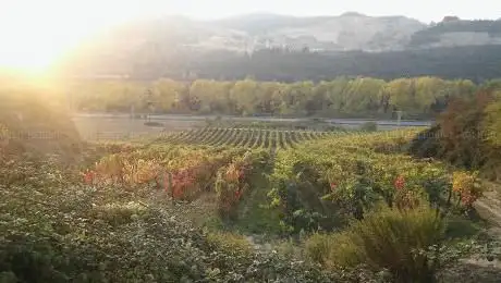 Photo de San Felices. Batalla del Vino