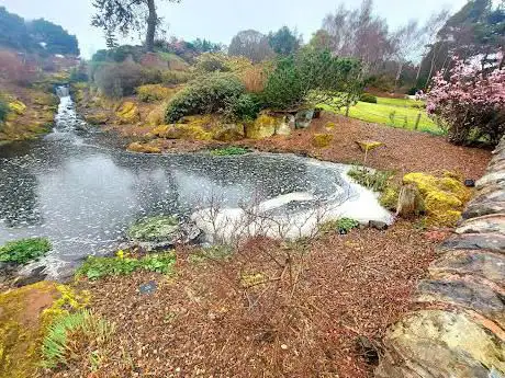 Photo de Woodland Garden