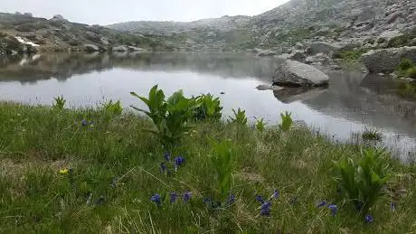 Lago della Quinseina