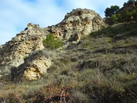 Photo de Mirador de la Chopera