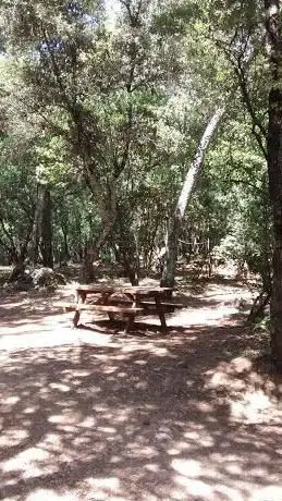 départemental du Sinodon Natural Park