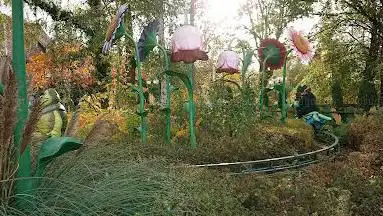 Photo de Flip Der Grashüpfer
