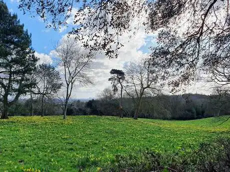 Photo de Warley Place Nature Reserve