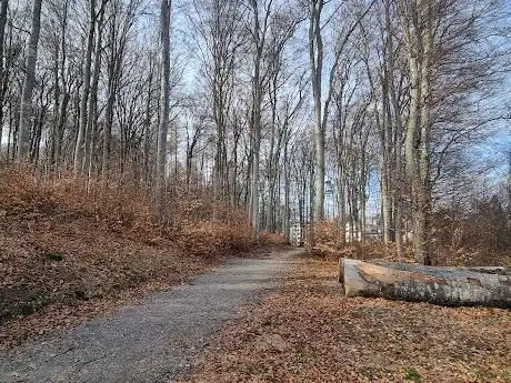 Photo de Sentier Burki